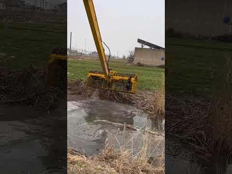 Видео: JCB поймал рыбу 🐠🐟 из реки [156]