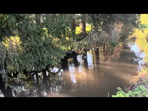 Видео: Германия 🇩🇪. Удивительная природа и маленькие красивые городки. 