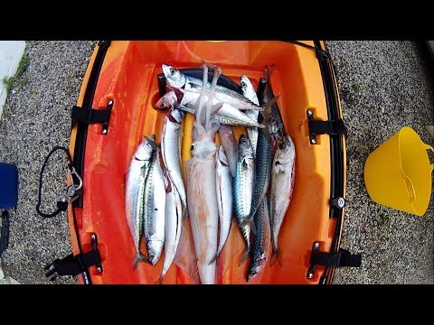 Видео: Рыбалка с каяка — осенняя ловля скумбрии и кальмаров