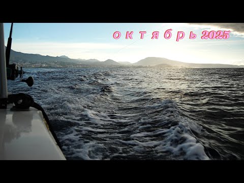Видео: РЫБАЛКА НА КАНАРАХ ОКТЯБРЬ 2025