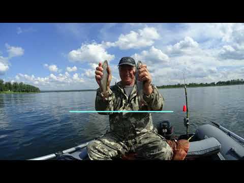 Видео: Отличная рыбалка на Енисее  Где Кан впадает в Енисей  Хороший улов хариуса