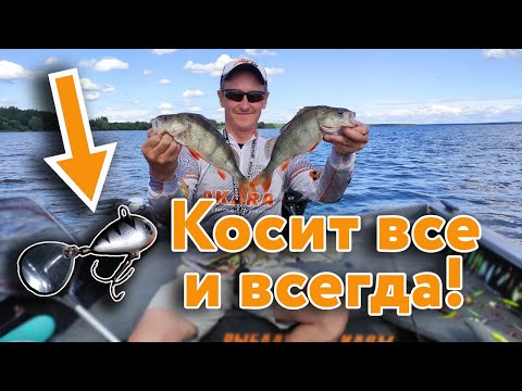 Видео: Тейл - Спиннер СУПЕР УЛОВИСТАЯ приманка на СПИННИНГ летом
