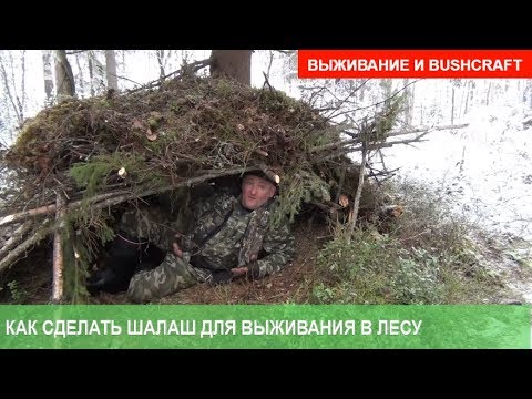 Видео: Как сделать шалаш в лесу, чтобы выжить. Лесные хитрости. Выживание и bushcraft с Proto