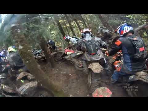 Видео: фосизен осень 2025