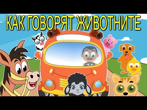 Видео: Колеса у автобуса крутятся | Животные | Как говорят животные | Детские песни