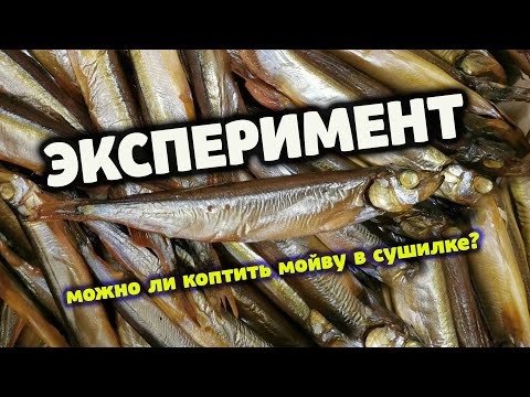 Видео: Можно ли коптить рыбу в сушилке? Эксперимент.