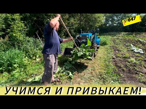 Видео: Жизнь и будни в Омской деревне.