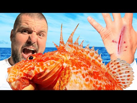 Видео: УХАПА МЕ ОТРОВНА РИБА! БЕЗ ПАРИ НА МОРЕ С ЕЛЕКТРИЧEСКА КОЛА!