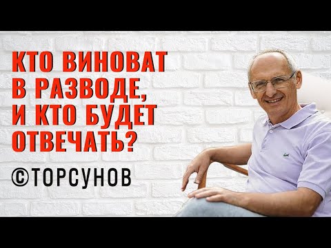 Видео: Кто виноват в разводе, и кто будет отвечать? Торсунов лекции
