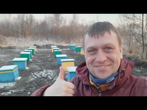 Видео: Итоги зимовки! Пасека сократилась в двое! Как быть дальше?