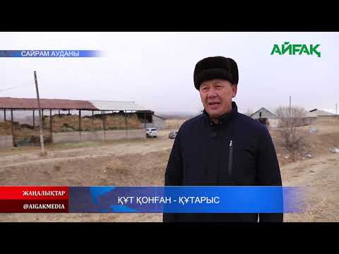 Видео: 20.11.2020 Құт қонған - Құтарыс
