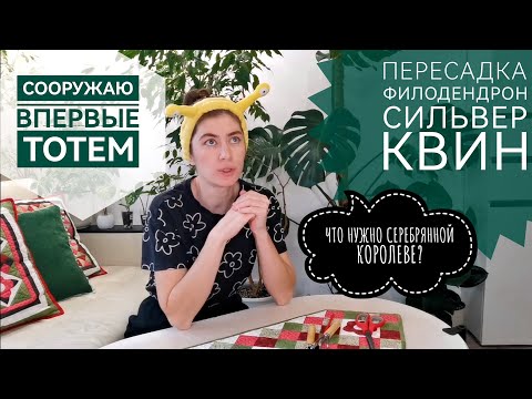Видео: ПЕРЕСАДКА филодендрон СИЛЬВЕР КВИН✳️сооружаю ТОТЕМ впервые🌿#комнатныерастения#филодендрон