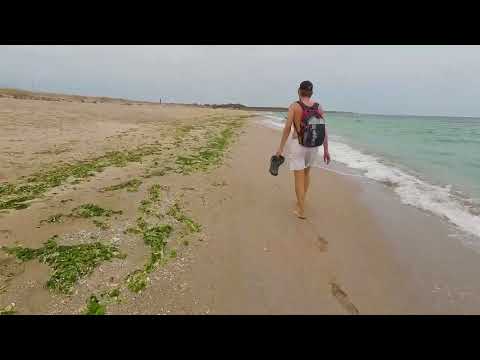 Видео: От цикъл Шабла: до Езерец по пясъка