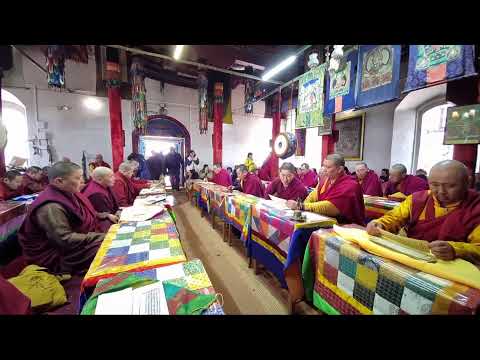 Видео: МАНДАЛ ШИВА. ДУЙНХОР ХУРАЛ. 23.04.2024 🕙 10:00