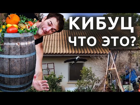 Видео: Израиль: ЖИЗНЬ В КИБУЦЕ | Первое впечатление репатрианта