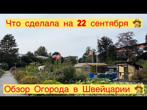 Видео: ОБЗОР ОГОРОДА В ШВЕЙЦАРИИ 👩‍🌾ЧТО СДЕЛАЛА НА 22 сентября 👩‍🌾