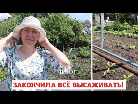 Видео: Атака улиток, высадка рассады, прополка... Всё как вы любите :)