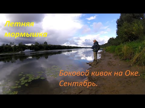 Видео: Летняя мормышка. Боковой кивок на Оке. Сентябрь.