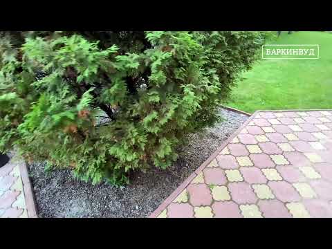 Видео: Спустя 5 лет ⏰ Кора лиственницы 1-3 см "Стандарт" [ОБЗОР]