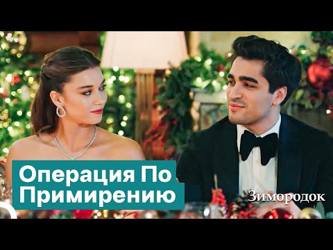 Видео: Если Мы Будем Вместе, Мы Решим Любую Проблему | Зимородок