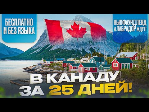 Видео: КАК ПЕРЕЕХАТЬ В КАНАДУ БЕЗ ЯЗЫКА? СЕКРЕТЫ БЫСТРОЙ ИММИГРАЦИИ!