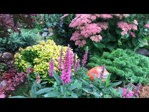 Видео: 🍂🍁🌳Красивая Осень 🍁в моём цветнике🍁Черенки вегетативных цветов на следующий сезон🌳🍁🍂🏡🐞🌺🌞