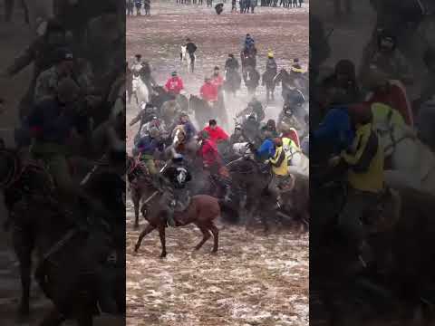 Видео: Бузкаши Точикобод 19.01.2025 тамошо кун лайка кок кун