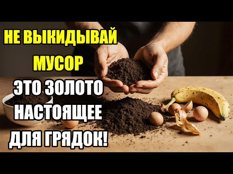 Видео: НЕ ВЫБРАСЫВАЙТЕ ЭТО! КУХОННЫЙ МУСОР, КОТОРЫЙ ДАЁТ НЕВЕРОЯТНЫЙ УРОЖАЙ — ПРОСТО ПЕРЕСЫПЬТЕ В ЗЕМЛЮ!
