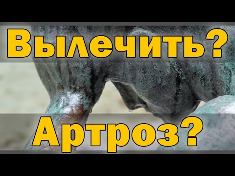 Видео: Что значит "вылечить"? Что значит "артроз"? (Суставы: Дополнение к лекции №2)