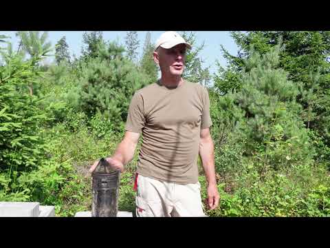 Видео: развитие отводков в шестирамочниках ,часть 6  второе расширение