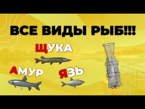 Видео: ВСЕ ВИДЫ РЫБ в Ultimate Fishing Simulator!!! | Юбилейное видео