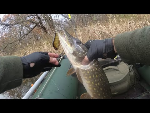 Видео: Щука на джерк 80мм