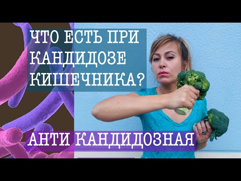 Видео: ЧТО ЕСТЬ ПРИ КАНДИДОЗЕ КИШЕЧНИКА! ПОДРОБНАЯ ДИЕТА ПРИ КАНДИДОЗЕ! #диетаприкандидозе #едаприкандидозе