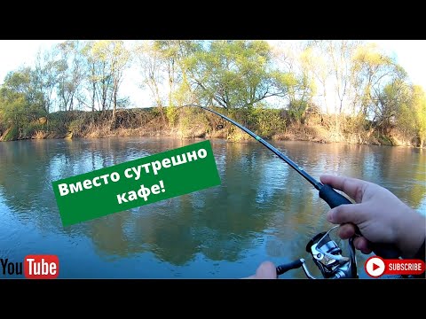 Видео: Вместо сутрешно кафе - риболов на кефали по р. Тунджа!
