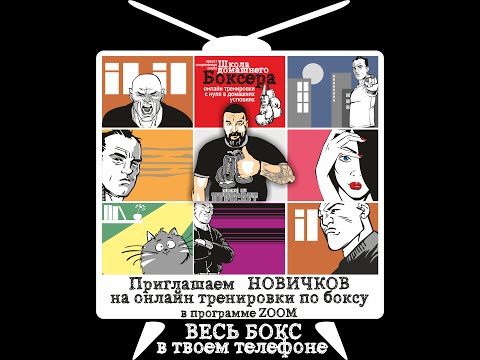 Видео: два объявления Школы домашнего боксера