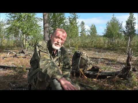 Видео: Медведи. Это не лекция, а просто напоминание. Фрагмент из видео. 2023.