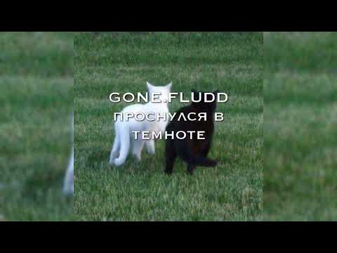 Видео: gone.fludd - проснулся в темноте|speed up