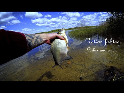 Видео: Фидер ультралайт или Фидер на минималках