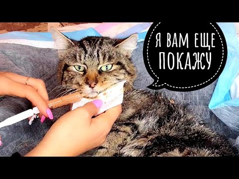 Видео: ВПЕРВЫЕ кормлю Кузю, его стали бить СУДОРОГИ🤯