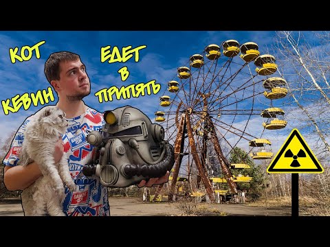 Видео: С КОТОМ ВХОД РАЗРЕШЕН! КЕВИН ЕДЕТ В ПРИПЯТЬ?