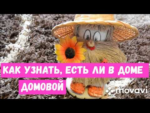 Видео: Как узнать, есть ли в доме домовой?Признаки присутствия. Способы взаимодействия.