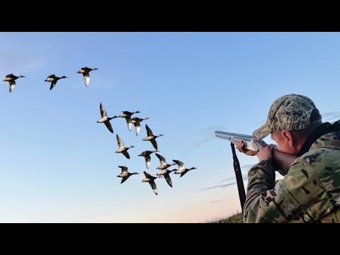 Видео: Великолепное Открытие Охоты на Утку 2025.