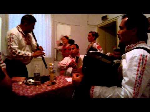 Видео: Народна Музика - narodna muzika- Петко,Гавраилово - гайда , Желязко - акордеон , Тодор - кавал .