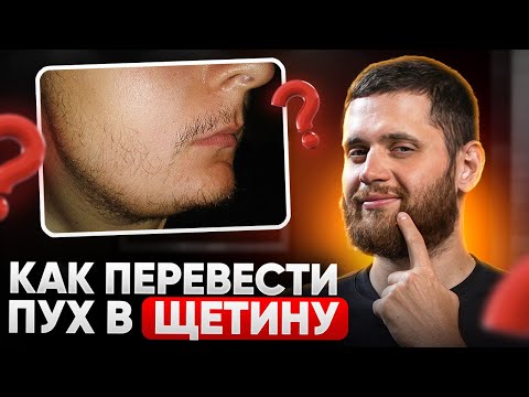 Видео: Как быстрее перевести ПУШОК в полноценную ЩЕТИНУ