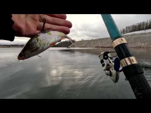 Видео: Рыбалка на щуку  Щука в январе на ПОПЛАВОК