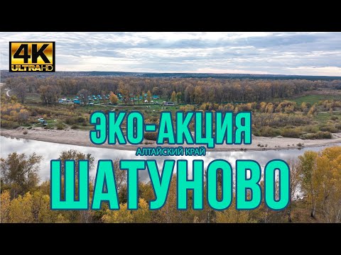 Видео: СЕМЕЙЫЙ ЛЕС