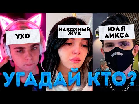 Видео: УГАДАЙ КТО! МОКРИВСКИЙ ГУАКАМОЛЛИ ШАДОУКЕК БАЙОВЛ БАХА СКИЛЗОР КОСТЫЧ УГАДЫВАЮТ СЛОВА!