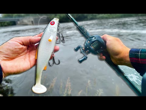 Видео: Речная рыбалка на щуку! (Большие приманки)