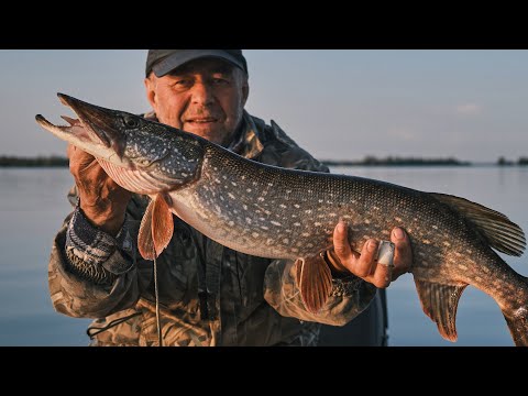 Видео: Путешествие за ТРОФЕЙНОЙ ЩУКОЙ!!! Васильсурск Где ловить?