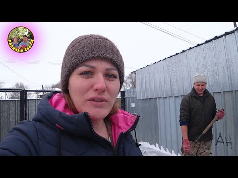 Видео: 🇰🇿 Жизнь простой семьи в Казахстане / Напали собаки  / #деревня #жизньвдеревне